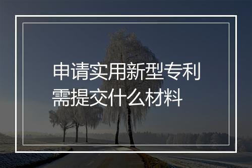 申请实用新型专利需提交什么材料