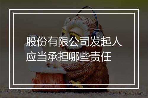 股份有限公司发起人应当承担哪些责任