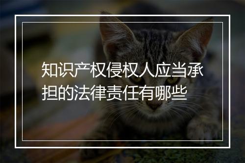 知识产权侵权人应当承担的法律责任有哪些