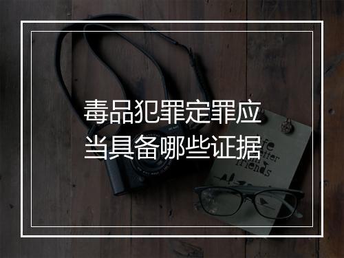 毒品犯罪定罪应当具备哪些证据