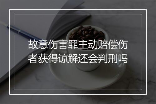 故意伤害罪主动赔偿伤者获得谅解还会判刑吗