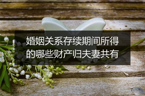 婚姻关系存续期间所得的哪些财产归夫妻共有