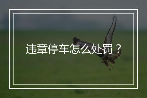 违章停车怎么处罚？