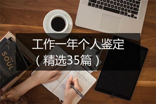 工作一年个人鉴定（精选35篇）