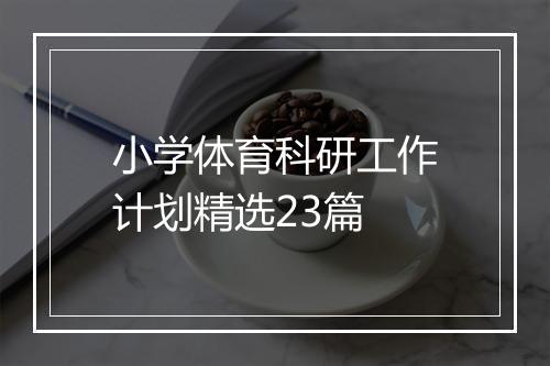 小学体育科研工作计划精选23篇