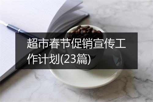 超市春节促销宣传工作计划(23篇)