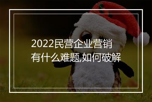 2022民营企业营销有什么难题,如何破解