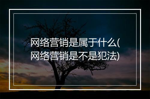 网络营销是属于什么(网络营销是不是犯法)