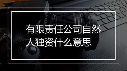 有限责任公司自然人独资什么意思