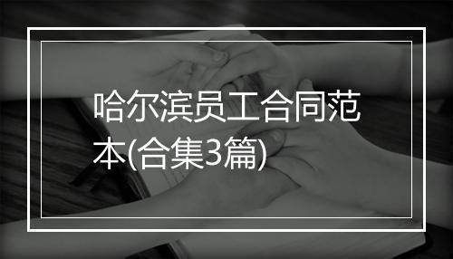 哈尔滨员工合同范本(合集3篇)
