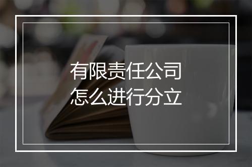 有限责任公司怎么进行分立
