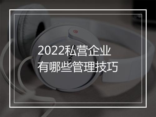 2022私营企业有哪些管理技巧