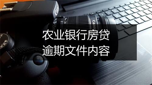 农业银行房贷逾期文件内容