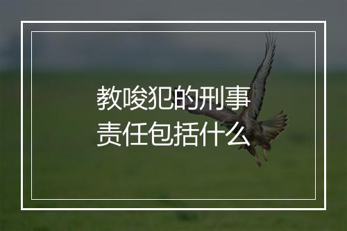 教唆犯的刑事责任包括什么