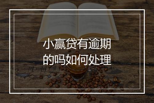 小赢贷有逾期的吗如何处理