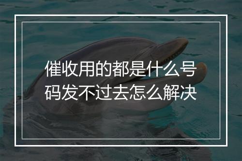 催收用的都是什么号码发不过去怎么解决
