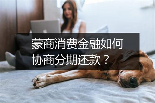 蒙商消费金融如何协商分期还款？