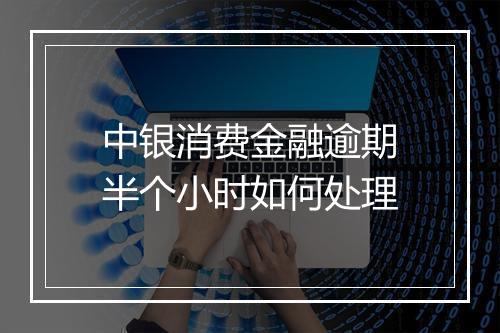 中银消费金融逾期半个小时如何处理