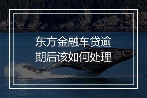 东方金融车贷逾期后该如何处理