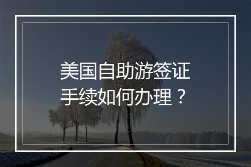 美国自助游签证手续如何办理？