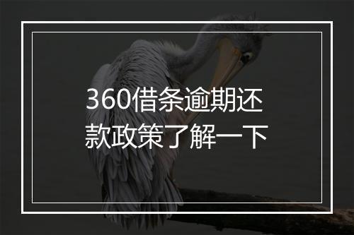 360借条逾期还款政策了解一下