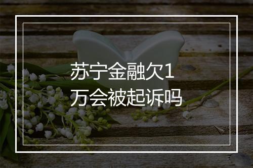 苏宁金融欠1万会被起诉吗