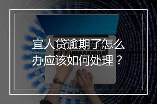 宜人贷逾期了怎么办应该如何处理？