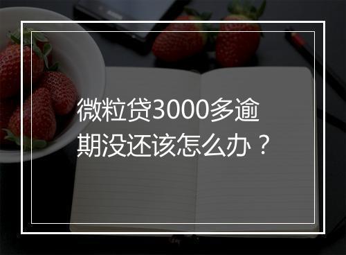 微粒贷3000多逾期没还该怎么办？