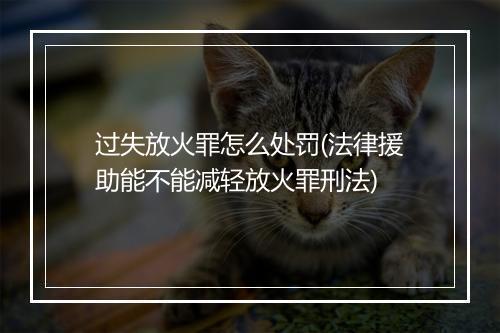 过失放火罪怎么处罚(法律援助能不能减轻放火罪刑法)