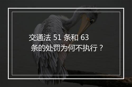 交通法 51 条和 63 条的处罚为何不执行？