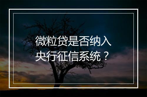 微粒贷是否纳入央行征信系统？