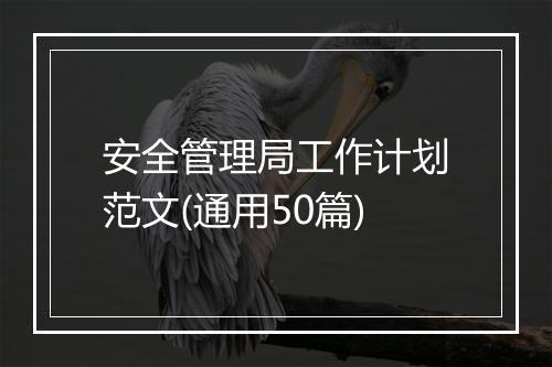 安全管理局工作计划范文(通用50篇)
