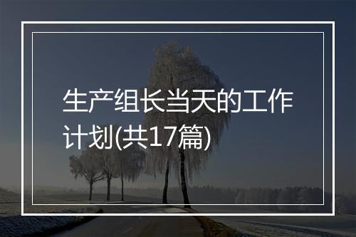 生产组长当天的工作计划(共17篇)