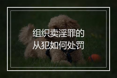 组织卖淫罪的从犯如何处罚
