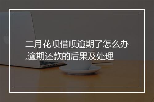 二月花呗借呗逾期了怎么办,逾期还款的后果及处理