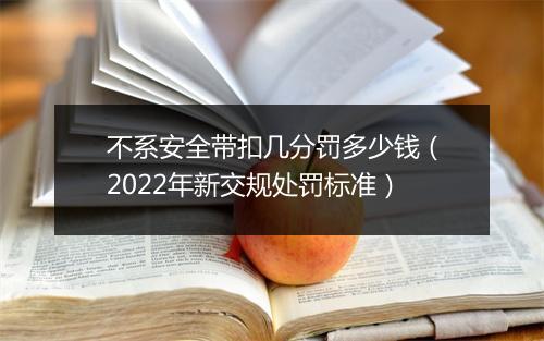 不系安全带扣几分罚多少钱（2022年新交规处罚标准）