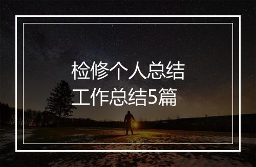 检修个人总结工作总结5篇