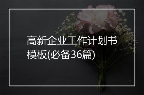 高新企业工作计划书模板(必备36篇)