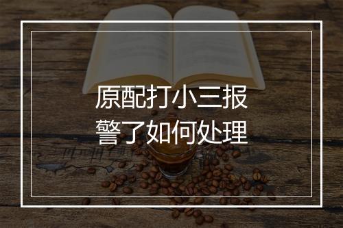 原配打小三报警了如何处理