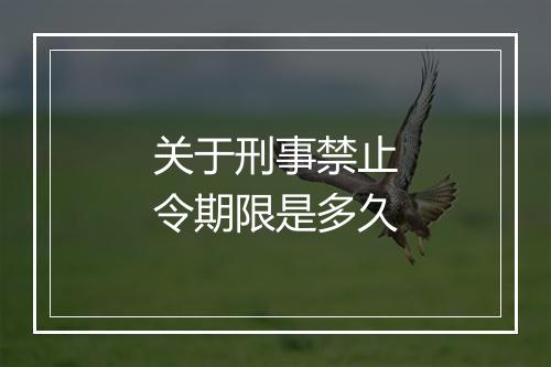关于刑事禁止令期限是多久