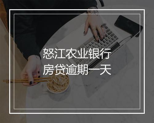 怒江农业银行房贷逾期一天