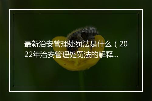 最新治安管理处罚法是什么（2022年治安管理处罚法的解释）