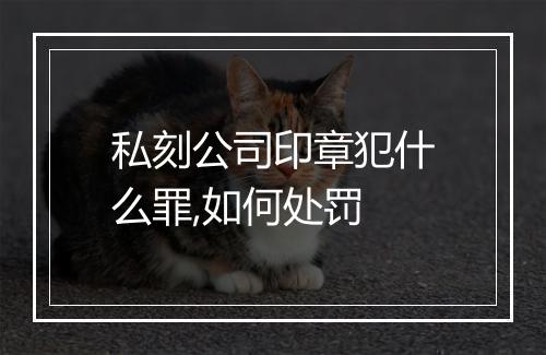私刻公司印章犯什么罪,如何处罚