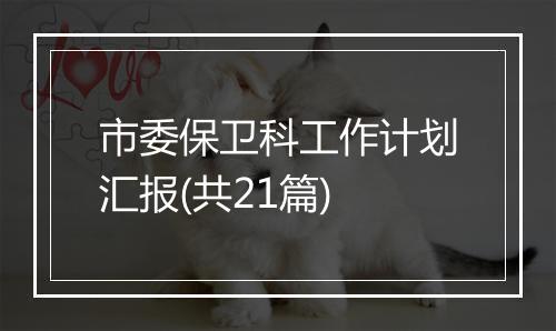 市委保卫科工作计划汇报(共21篇)
