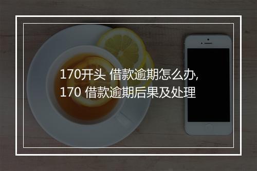 170开头 借款逾期怎么办,170 借款逾期后果及处理