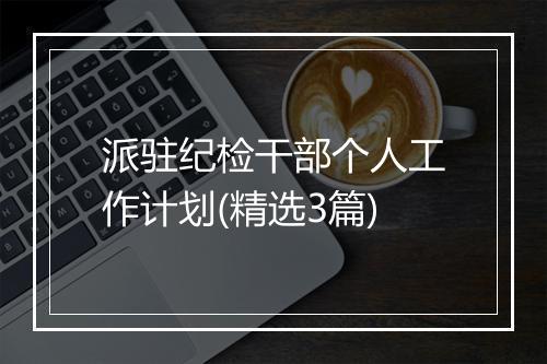 派驻纪检干部个人工作计划(精选3篇)