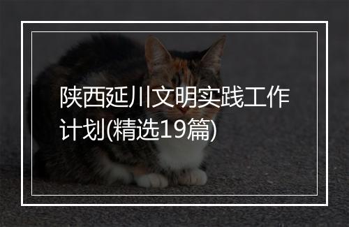 陕西延川文明实践工作计划(精选19篇)