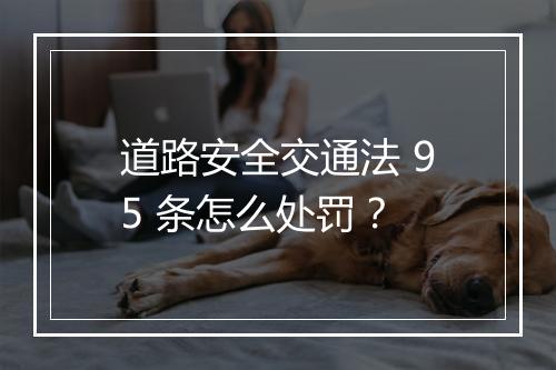 道路安全交通法 95 条怎么处罚？