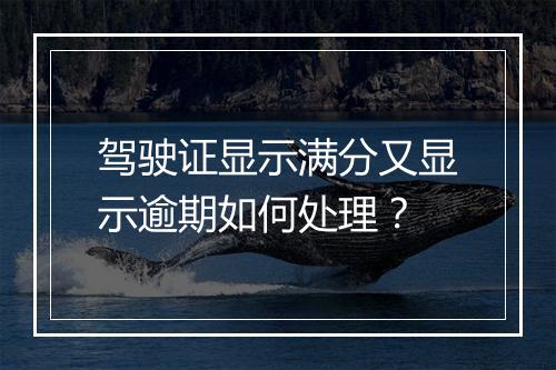 驾驶证显示满分又显示逾期如何处理？