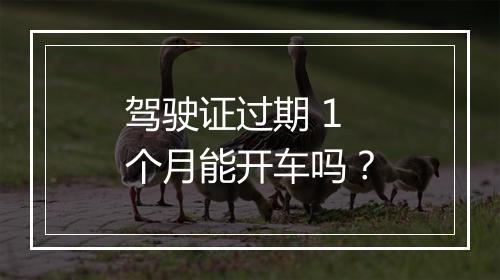 驾驶证过期 1 个月能开车吗？